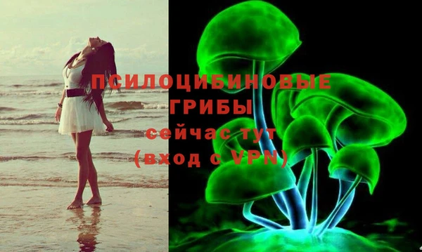 Альфа ПВП Заводоуковск